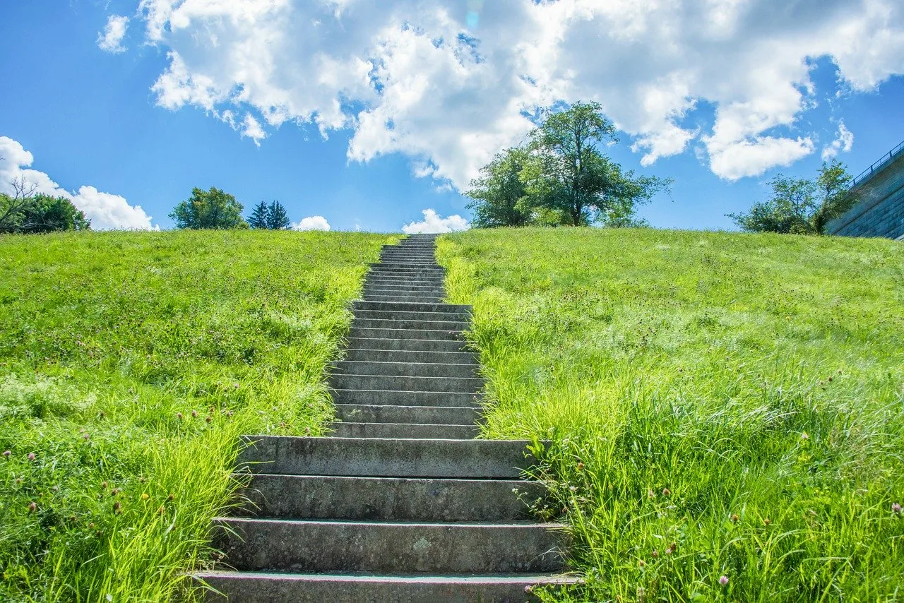 Карьерный рост и выбор профессии